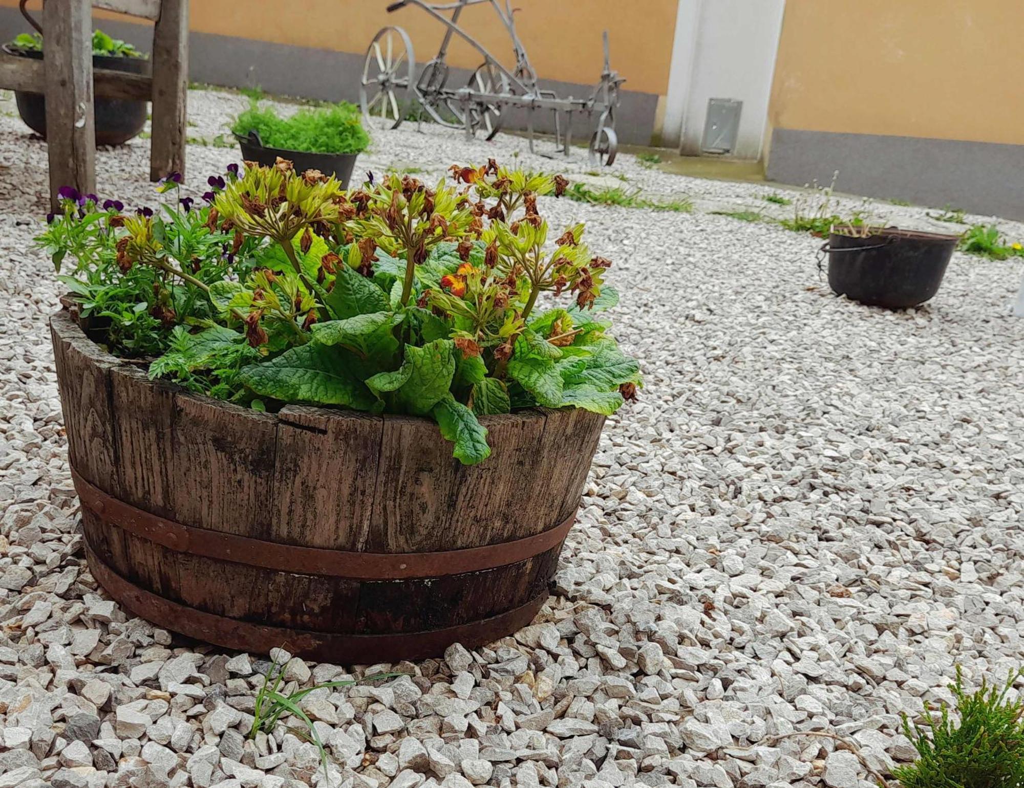 House Lana Apartment Kršan Екстериор снимка